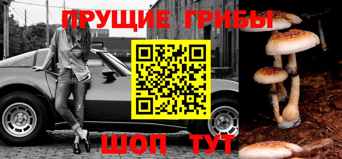 Псилоцибиновые грибы прущие грибы Евпатория