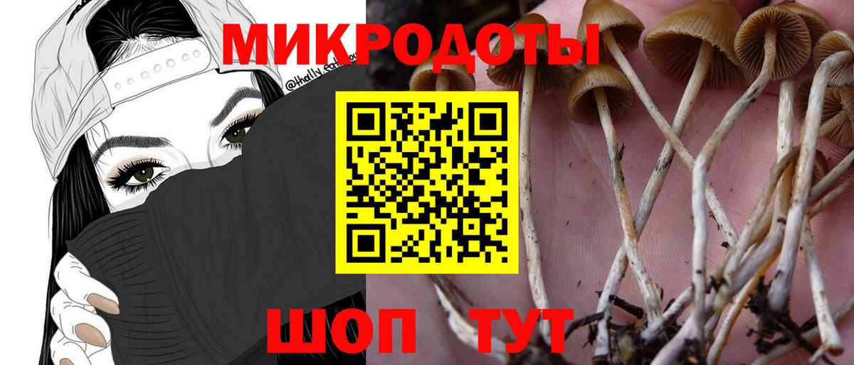 Галлюциногенные грибы мухоморы  Вход с VPN  Галлюциногенные грибы MAGIC MUSHROOMS  Евпатория 